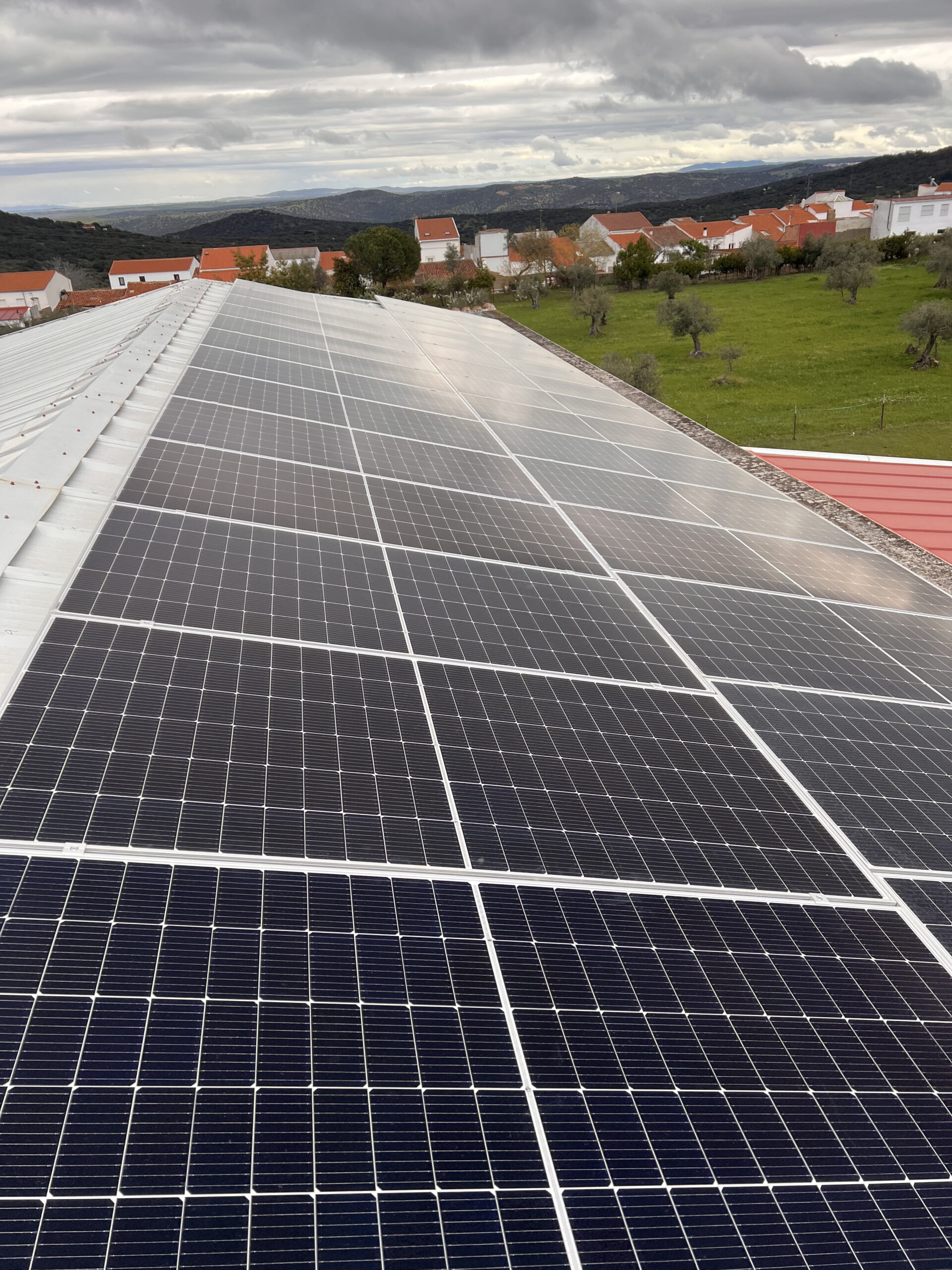 Paneles solares en el campo bajo nubes grises.