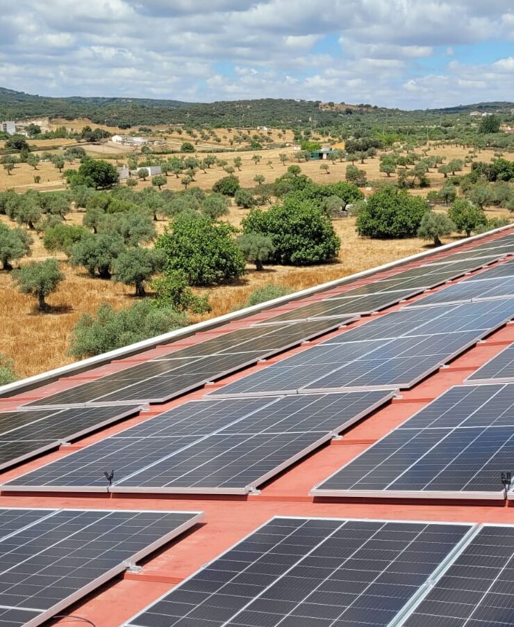 Paneles solares en azotea rural, España.